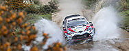 Südamerika im Doppelpack: Toyota Gazoo Racing bei der Rallye-Weltmeisterschaft.